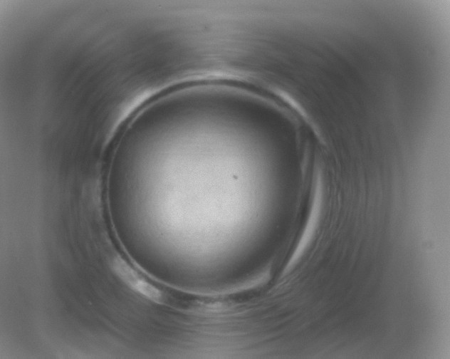 X0000083041460200702021139