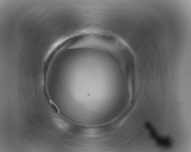 X0000083041461200702021139