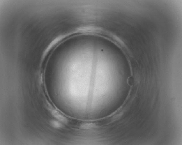 X0000083041462200702021139