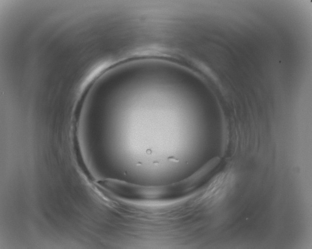 X0000083041463200702021139