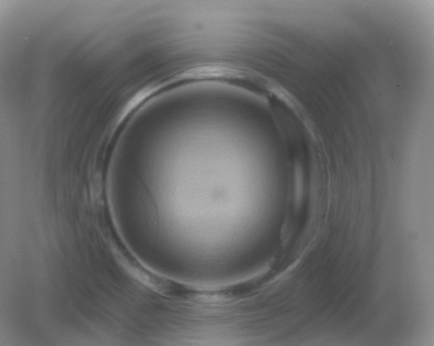 X0000083041465200702021139