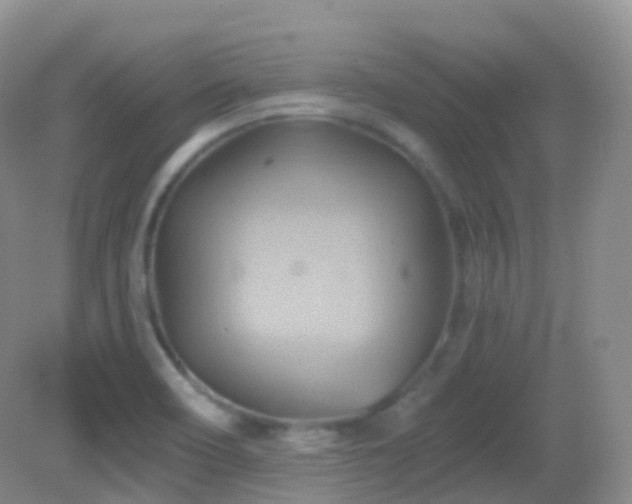 X0000083041466200702021139