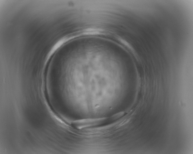 X0000083041467200702021139