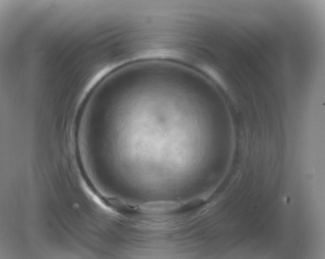 X0000083041468200702021139