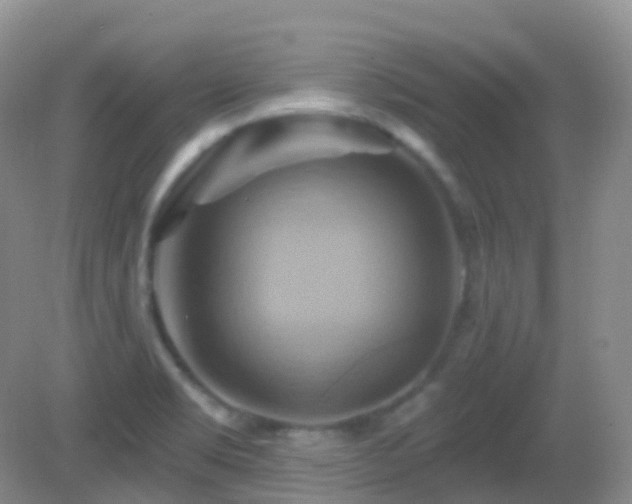 X0000083041469200702021139