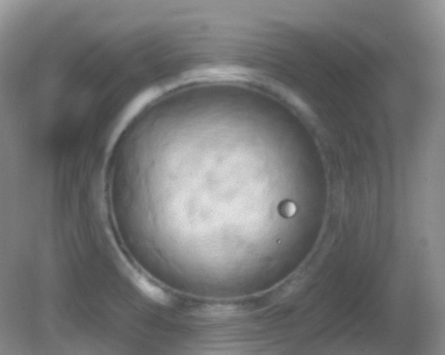 X0000083041470200702021139