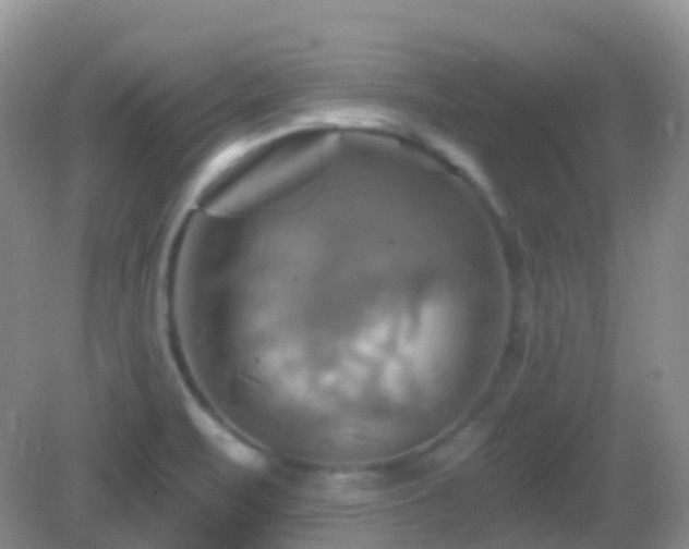 X0000083041471200702021139