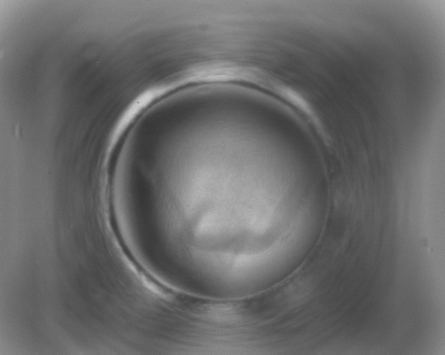 X0000083041472200702021139