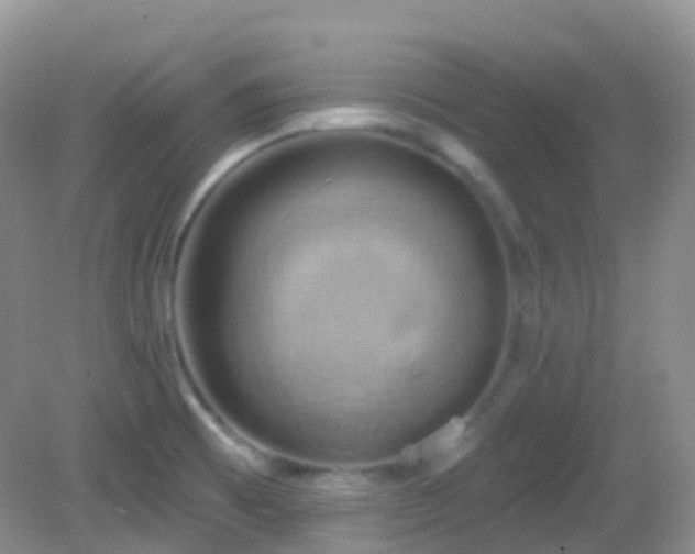 X0000083041473200702021139