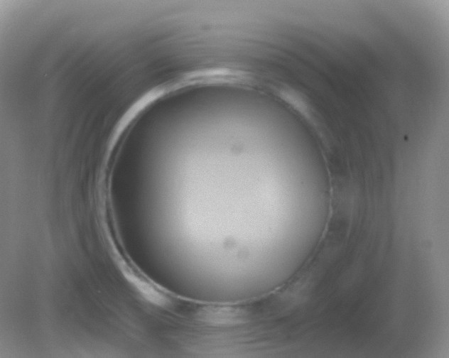 X0000083041474200702021139