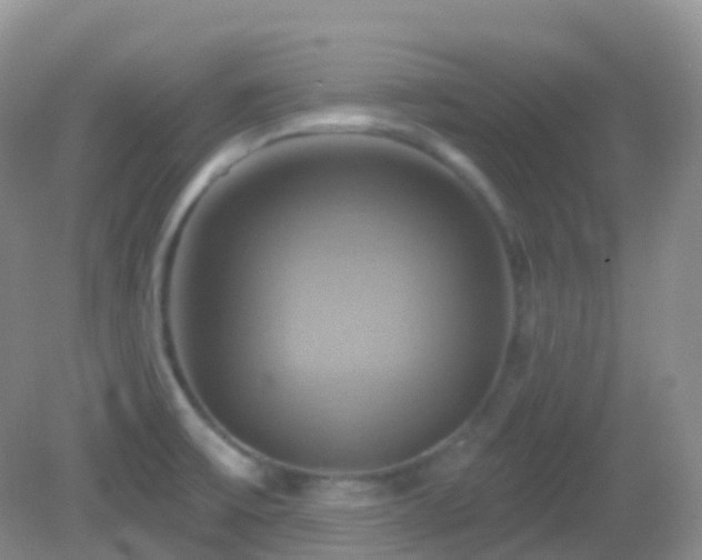 X0000083041475200702021139