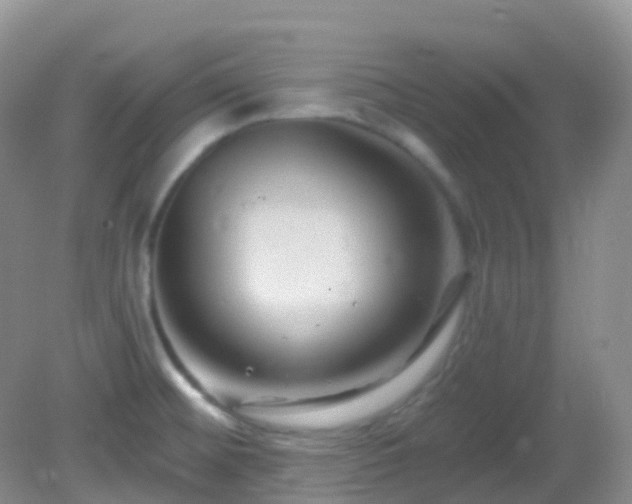 X0000083041476200702021139