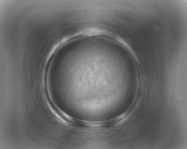 X0000083041477200702021139