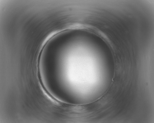 X0000083041479200702021139