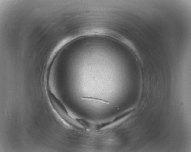 X0000083041480200702021139