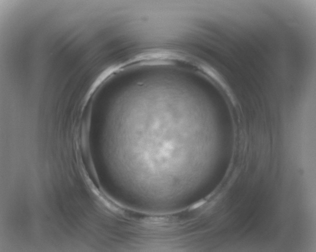 X0000083041481200702021139