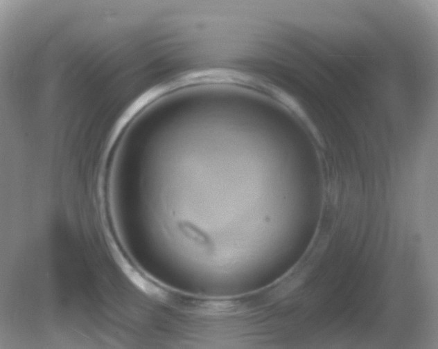 X0000083041482200702021139