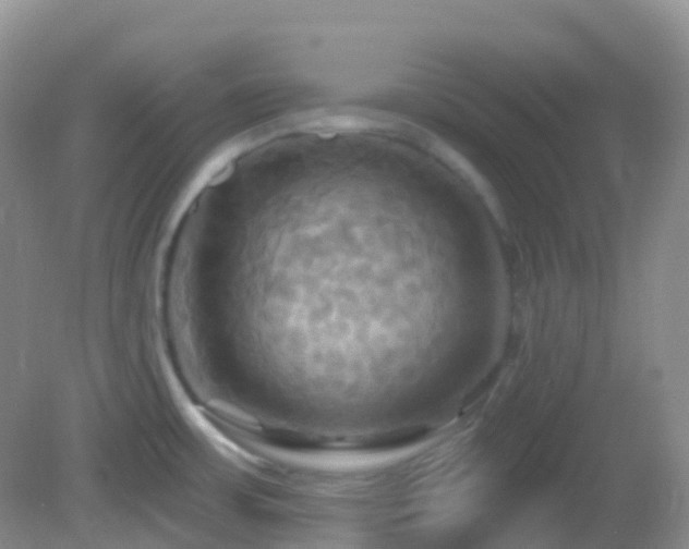 X0000083041483200702021139