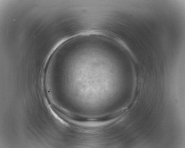 X0000083041484200702021139