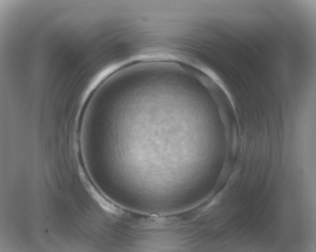 X0000083041485200702021139