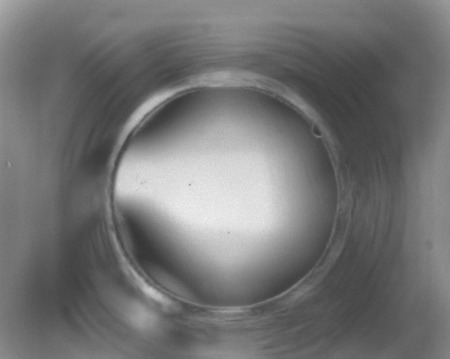 X0000083041486200702021139