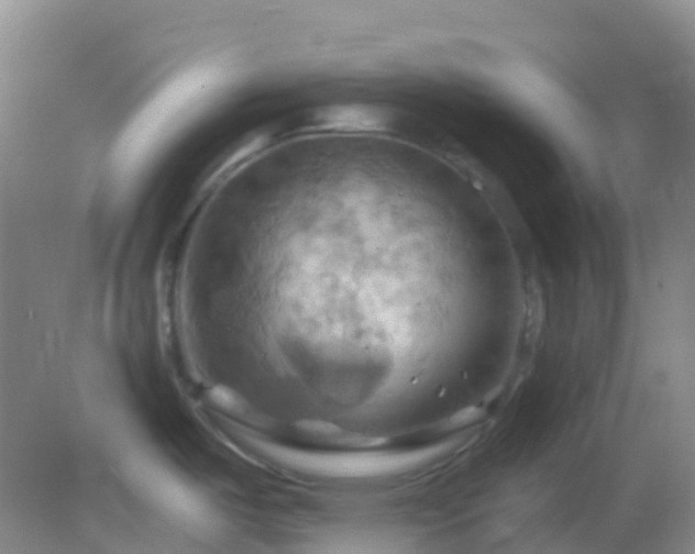 X0000083041487200702021139