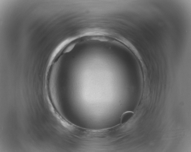 X0000083041488200702021139