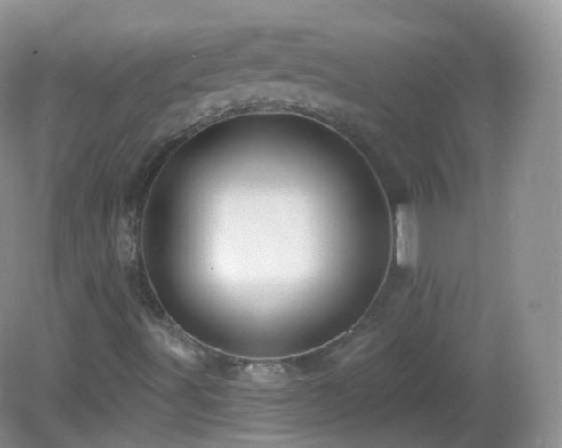 X0000083041491200702021138