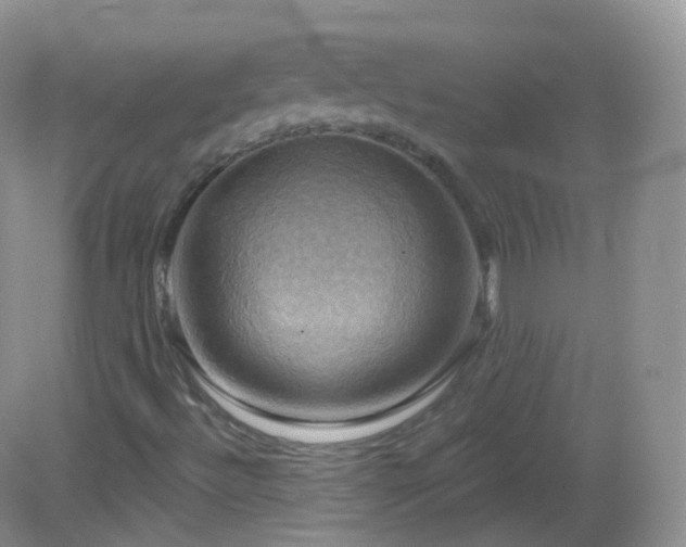 X0000083041492200702021138