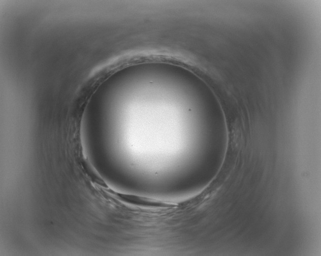 X0000083041494200702021138