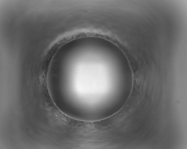 X0000083041495200702021138