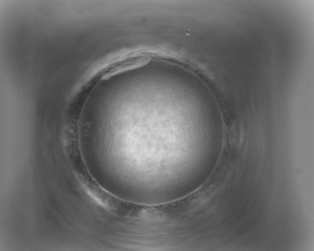 X0000083041496200702021138