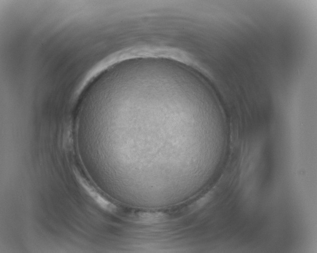 X0000083041498200702021138