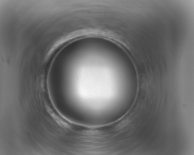 X0000083041499200702021138