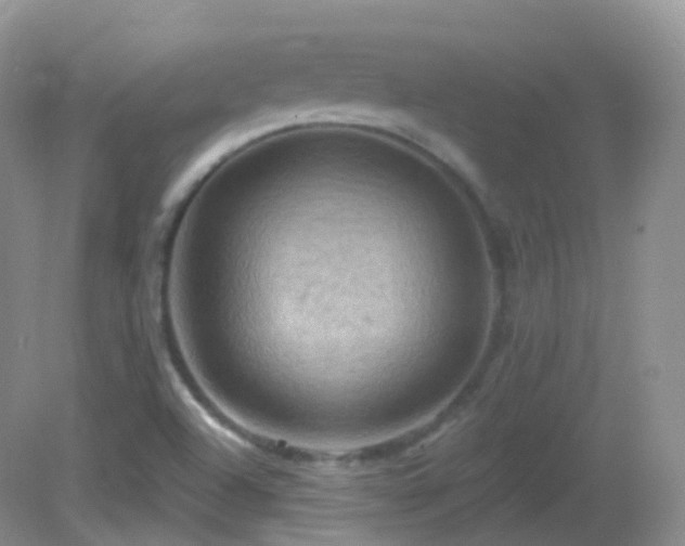 X0000083041504200702021138