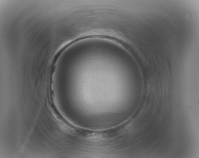 X0000083041505200702021138