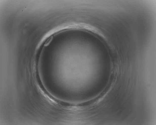 X0000083041506200702021138