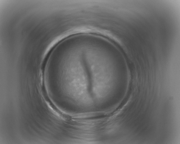 X0000083041509200702021138