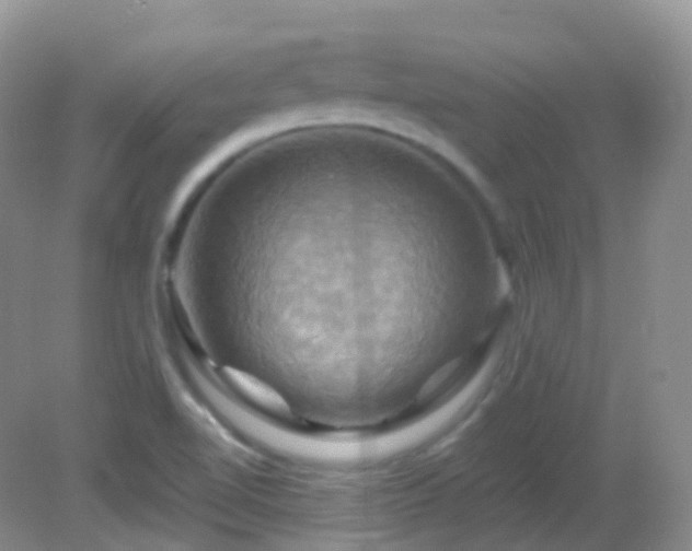 X0000083041510200702021138