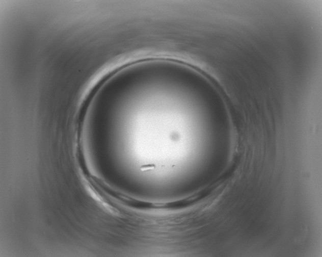 X0000083041511200702021138