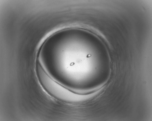 X0000083041512200702021138