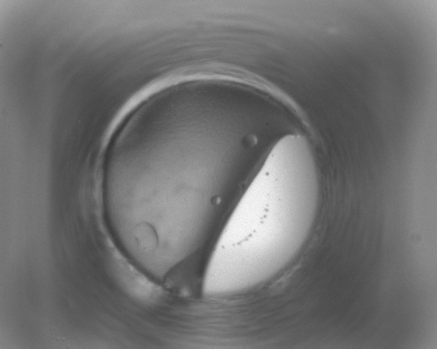 X0000083041514200702021138