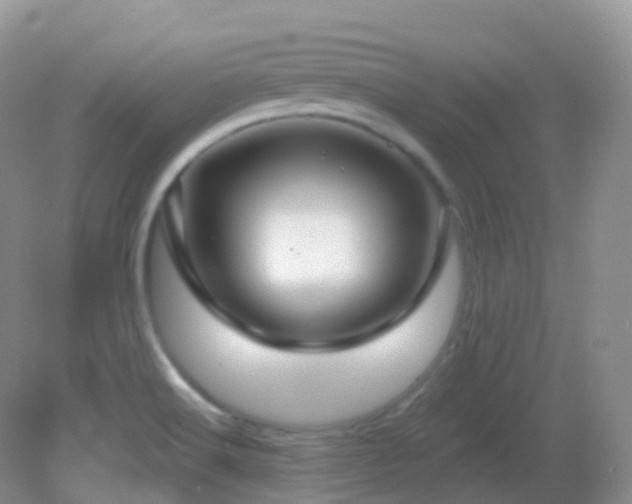 X0000083041516200702021138