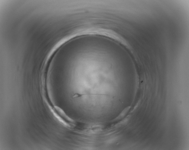 X0000083041517200702021138