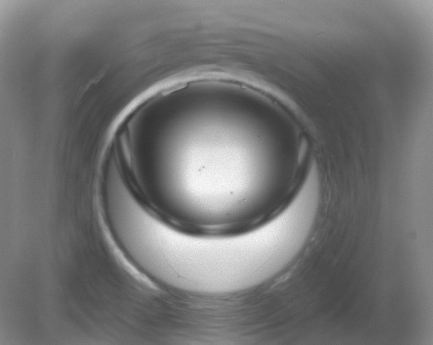 X0000083041518200702021138