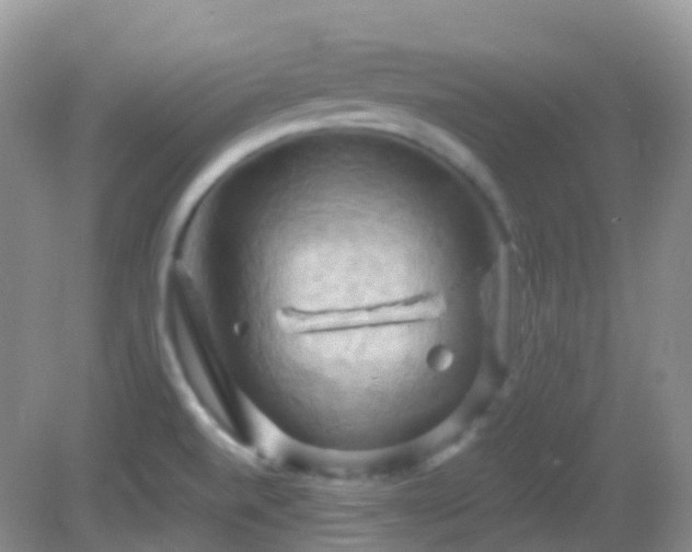 X0000083041520200702021138