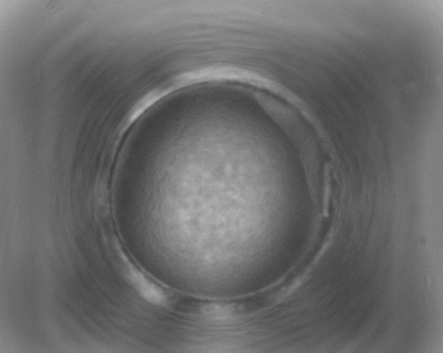 X0000083041521200702021138