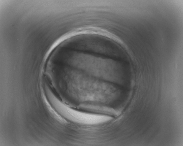 X0000083041522200702021138