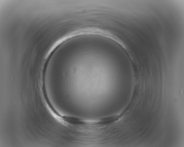 X0000083041523200702021138