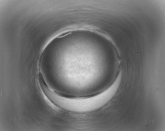 X0000083041524200702021138